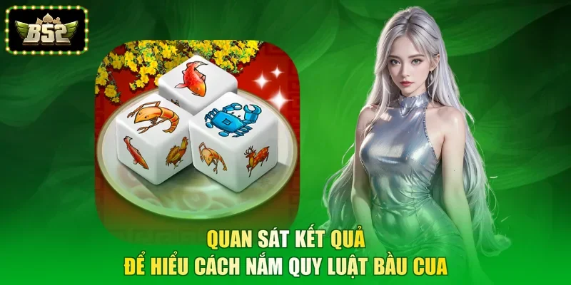 Quan sát kết quả để hiểu cách nắm quy luật bầu cua